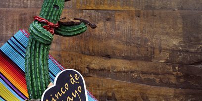 Cinco de Mayo Party Ideas