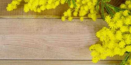 DeckMAX professional deck cleaning solutions