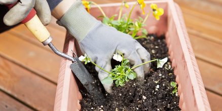 PVC, Composite, Wood Deck Cleaner | DeckMax