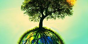 DeckMAX PVC, Composite, Wood Deck Cleaning