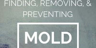 mold cleaner DeckMAX PVC, Composite, Wood Deck Cleaning