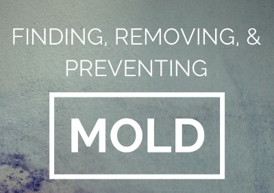 mold cleaner DeckMAX PVC, Composite, Wood Deck Cleaning