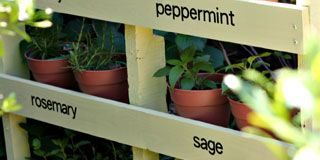 DeckMAX professional deck cleaning solutions