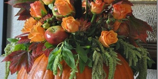 DeckMAX professional deck cleaning solutions