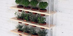 wall garden