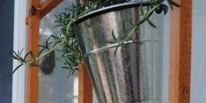 Hanging Deck Gardens